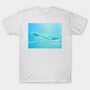 Eddy In The Wake T-Shirt